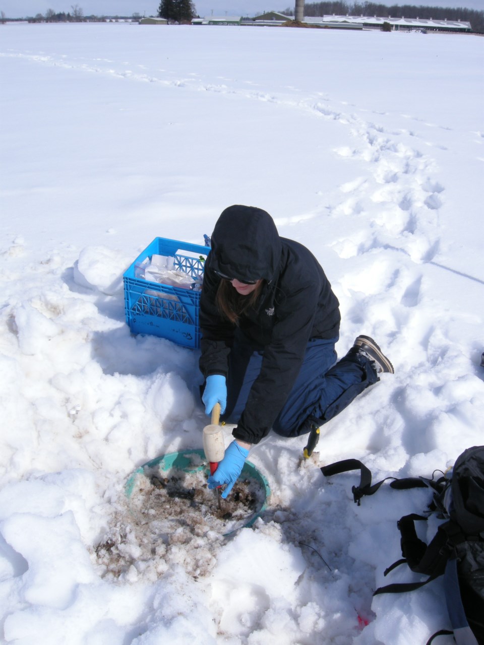 Microbiome research at the Elora Research Station (photo courtesy of Kari Dunfield)