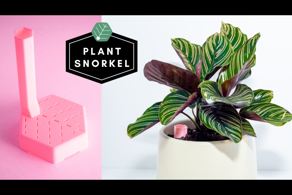 The Plant Snorkel is a plant watering device developed by a bunch of University of Guelph grads.