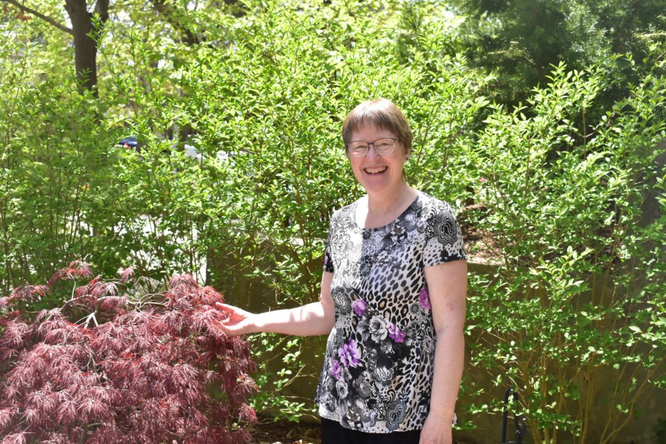 Tannis Sprott stands in the urban garden she has grown at her residence in the Southwest end of Guelph. Daniel Caudle for GuelphToday