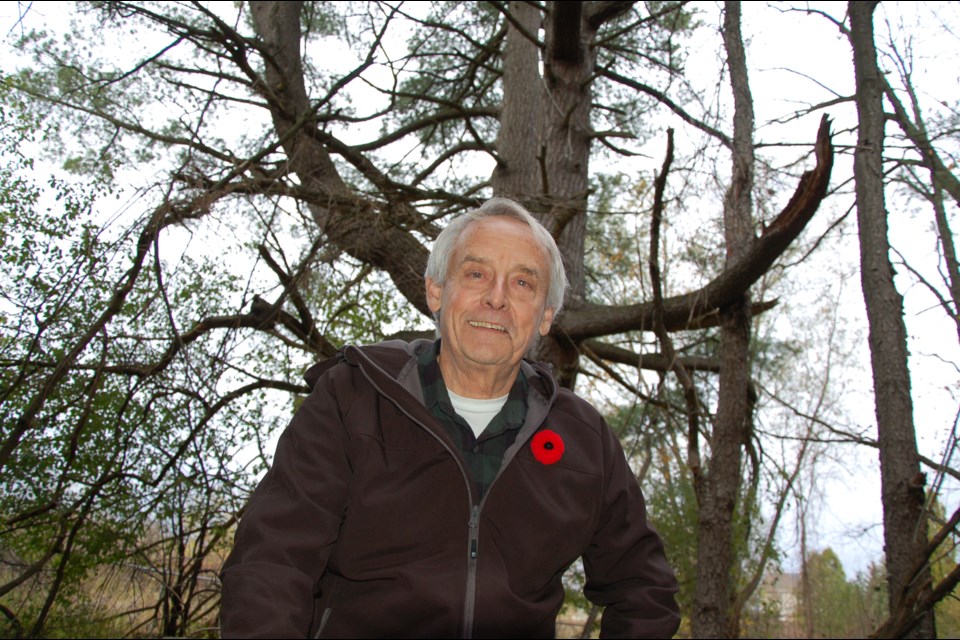 Dave Penny nominated Grandparents Pine, the tree seen behind him, for this year's Guelph Urban Forest Friends' Notable Tree award.