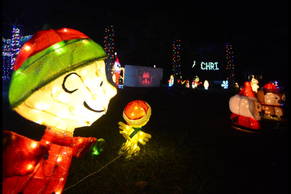 The light display at 33 Carter Rd. in Arkell has grown year by year.