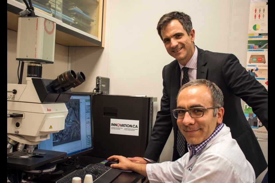 A research team at the University of Guelph believes it has found a way to cut the cost of producing chocolate. Seen here are Alejandro Marangoni (standing) and associate researcher Saeed Ghazani.