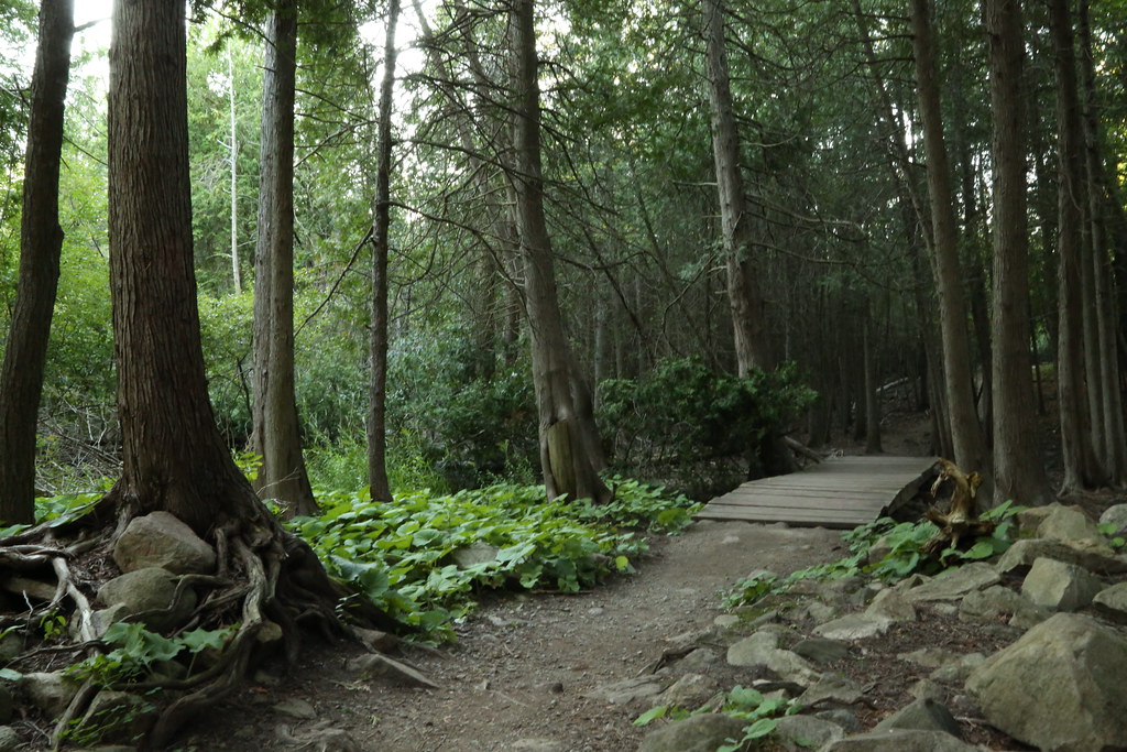 Spending time on Guelph's trails more important than ever - GuelphToday.com