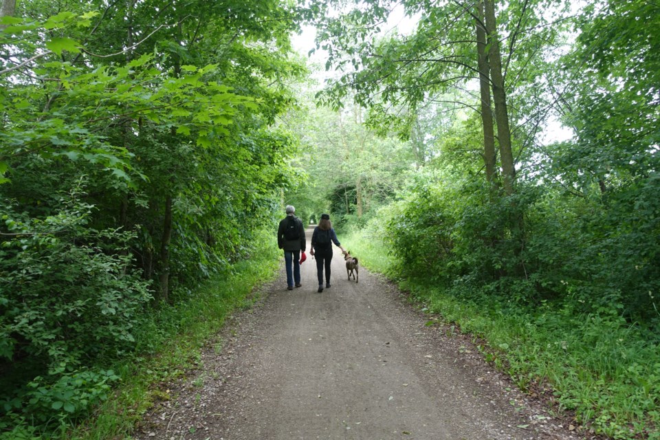 Walkers from the Kissing Bridge series. Submitted photo