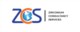 Zirconium Consultancy Services
