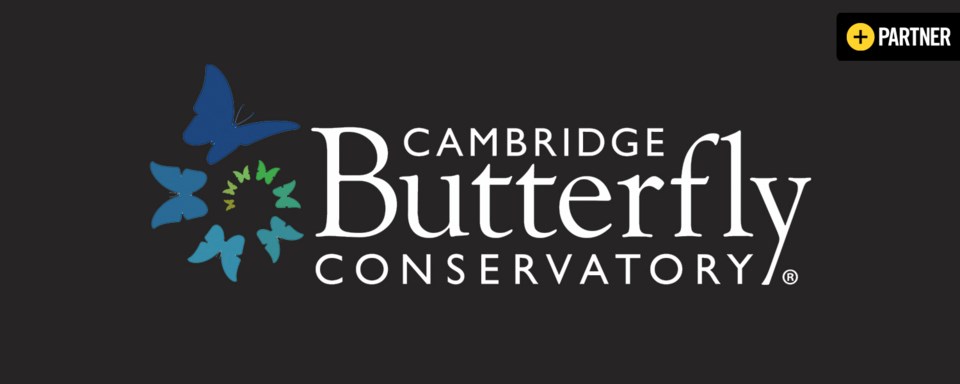 Cambridge Butterfly Conservatory