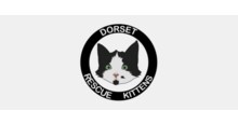 Dorset Rescue Kittens