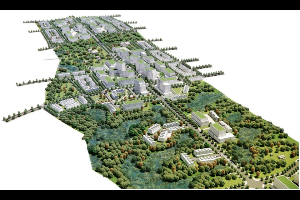 Clair-Maltby Secondary Plan, as seen looking south from Poppy Drive.