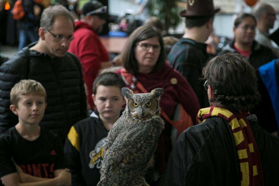 Einstein the great horned owl is presented to attendees of the School of Wizardry and Witchcraft event Saturday at University of Guelph. The sold out event was hosted by Let's Talk Science and the live birds were shown by Wild Ontario staff. Kenneth Armstrong/GuelphToday