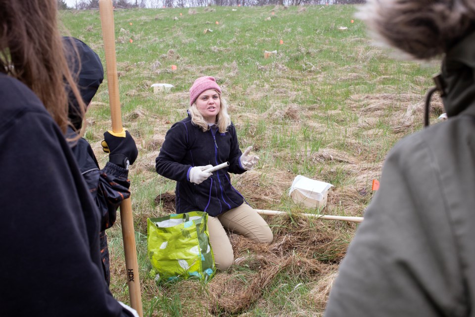Hayley Tompkins shows volunteers at Guelph Lake Conservation Area how to bury a bee box, which will act as a habitat for bumblebees. Kenneth Armstrong/GuelphToday