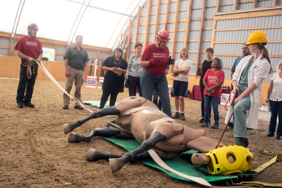 Dr. Rebecca Gimenez Husted (centre) leads a workshop on Sunday about how to safely move a 700-pound horse mannequin as part of the International Society of Equitation Science conference at University of Guelph. Kenneth Armstrong/GuelphToday