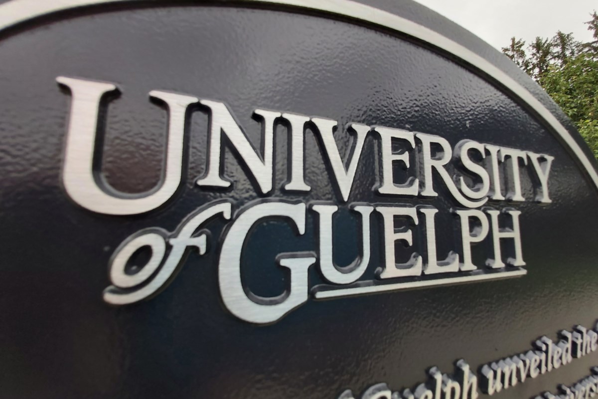 guelphtoday.com thumbnail
