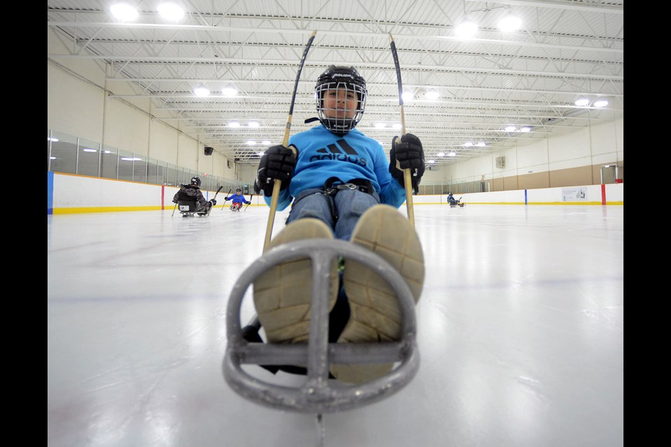 A student from Brant Avenue Public School gets ready to try sledge hockey at Exhibition Arena Wednesday, Nov. 9, 2016. Tony Saxon/GuelphToday