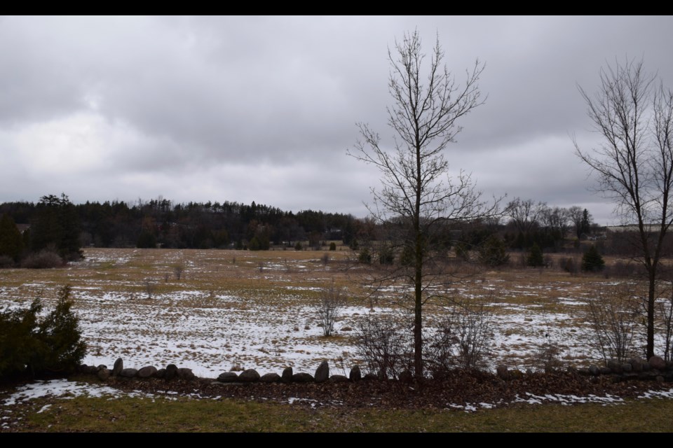 The view overlooking a 47-acre plot of land that Yorklands Green Hub wants to purchase. 