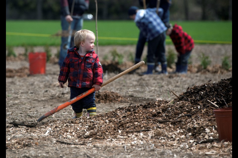 Young and old were on hand to help plant trees at the Rotary Forest on Saturday, April 22, 2017, near Guelph Lakes Conservation Area. Tony Saxon/GuelphToday