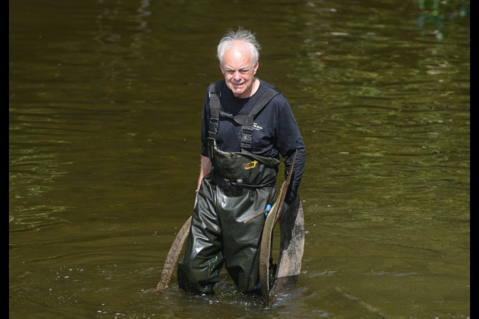 John Sleeman helps clean up the Speed River behind his Spring Mill Distillery Monday. Tony Saxon/GuelphToday