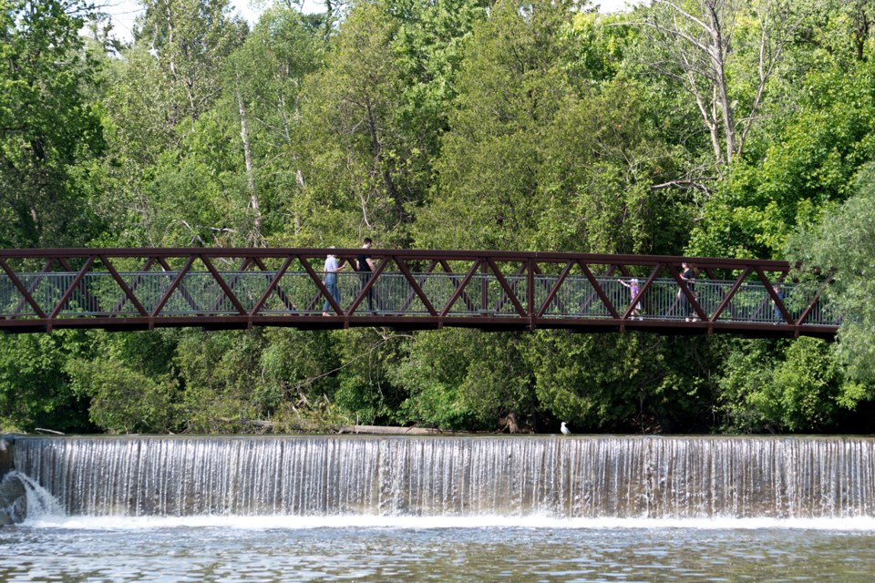 Taking a stroll across the walking bridge that spans the Speed River. Rob Massey for GuelphToday