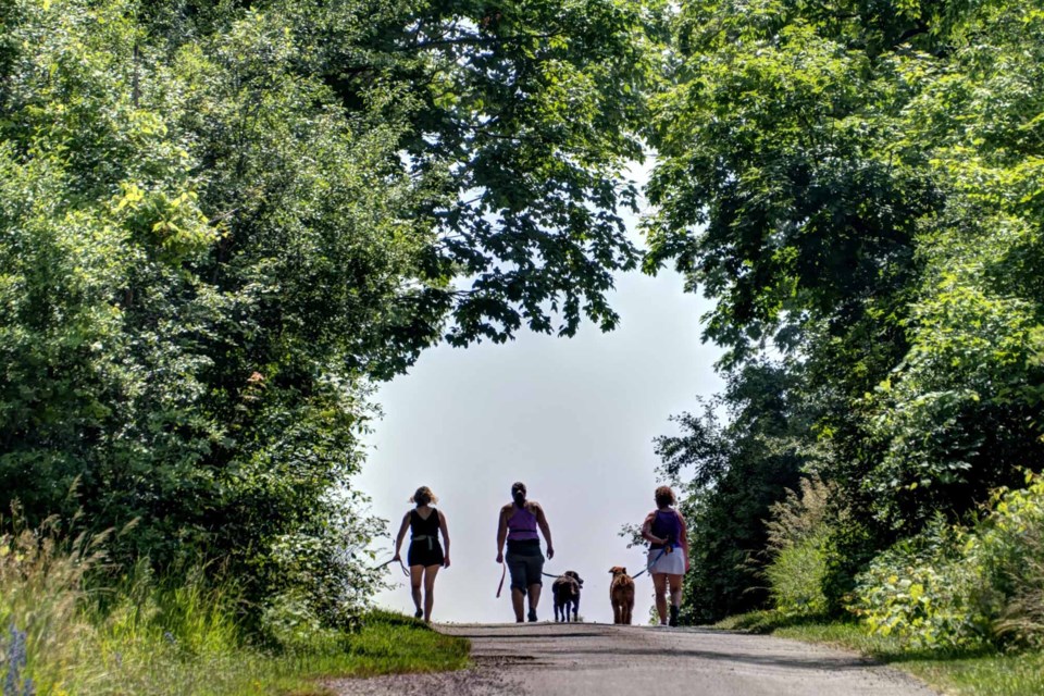 Nothing like taking the dog for a walk with a couple of friends. Rob Massey for GuelphToday