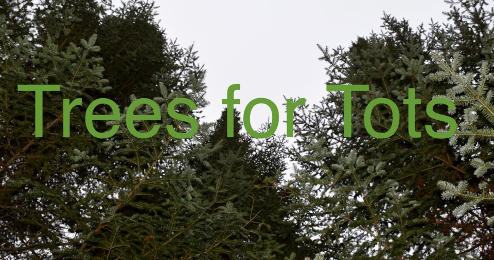 20161228 Trees for Tots ro