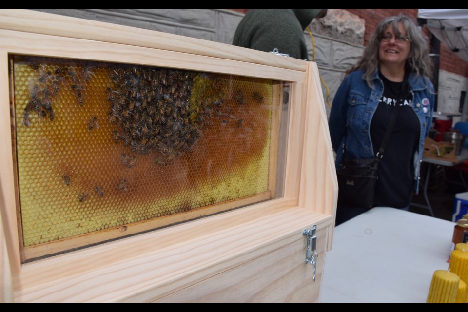 Bee careful. Mike Barber brought bees and honey to the first Two Rivers Market. Susan Carey, right, is organize a community market that will span 20 Fridays. Rob O'Flanagan/GuelphToday