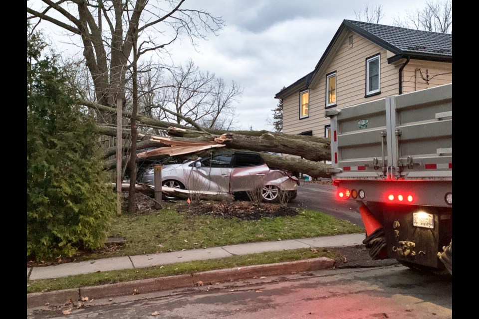 A car was also damaged from the fallen tree on Foster Avenue and Yorkshire Street South.