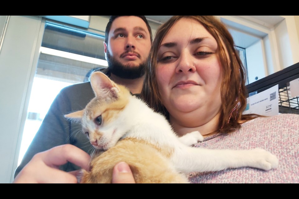 Bryanna Hyde and Steven Lendvoy visit with a kitten named Parker during Guelph Humane Society's Home for the Holidays adoption event that ran Friday and Saturday.