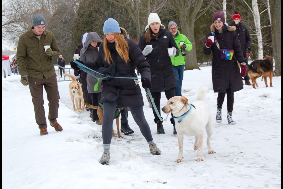 The 13th annual Dog Jog took place at the University of Guelph Arboretum on Saturday morning, organized by the Omega Tau Sigma Professional Veterinary Fraternity in support of the Ontario Veterinary College's Pet Trust.