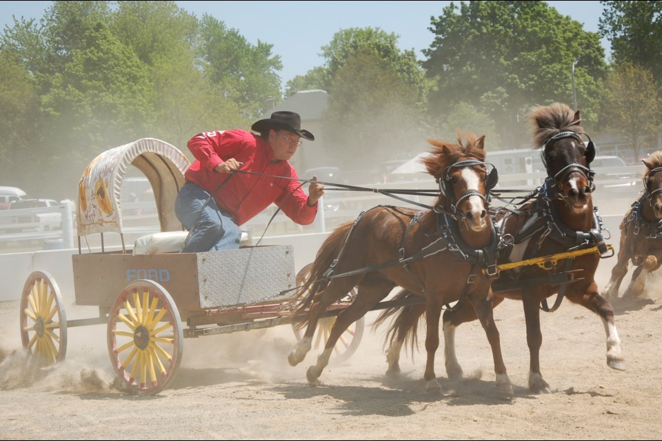 Equestrian life was on full display during HorseDay, held Saturday at the Erin Fairgrounds. The event featured a variety of events, demonstrations, competitions and vendors. Chuckwagon races were among the competitions.
