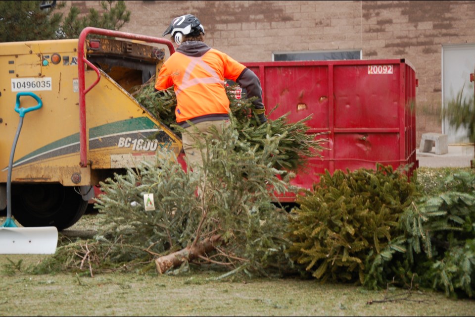 More than 200 volunteers helped out with the annual Trees for Tots event held by Children's Foundation of Guelph and Wellington.