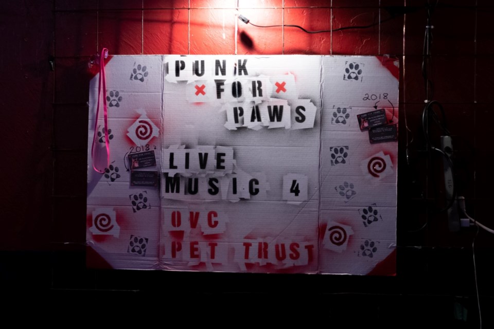 Since 2018, Punk for Paws has been organizing concerts to raise funds for OVC Pet Trust. This Friday marks the first show in Guelph. 
