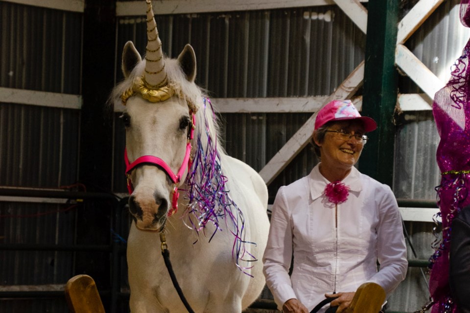 Horse dressed up clearance as a unicorn
