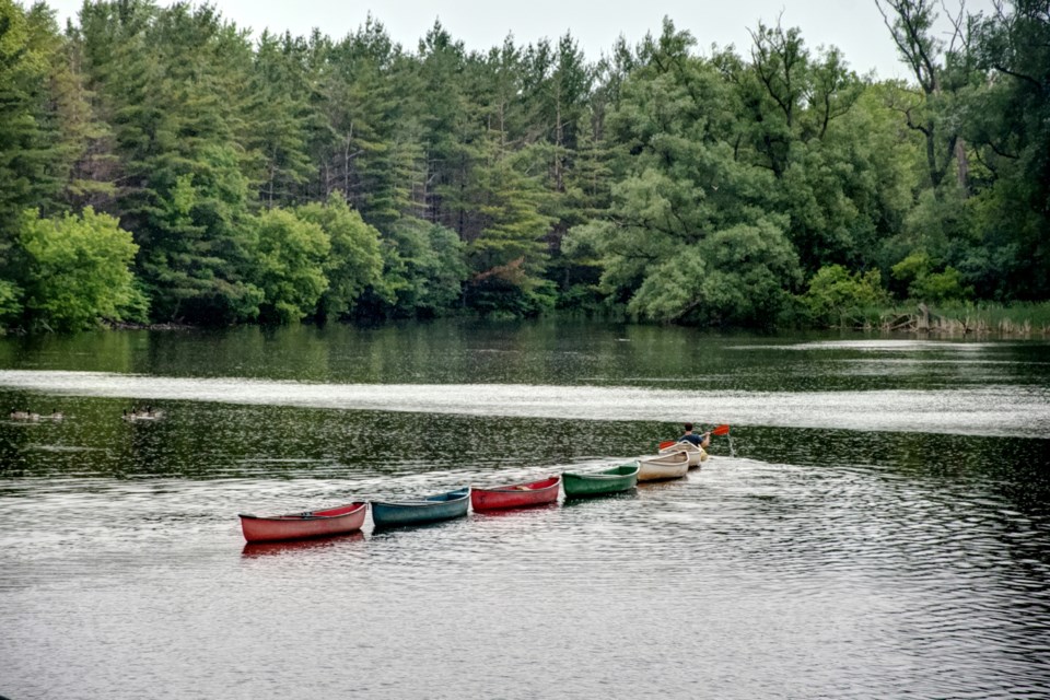 USED 20170624 canoes on speed