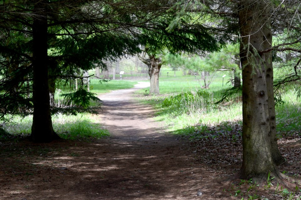 There's a little shade on this path through the Guelph Arboretum. Rob Massey for GuelphToday