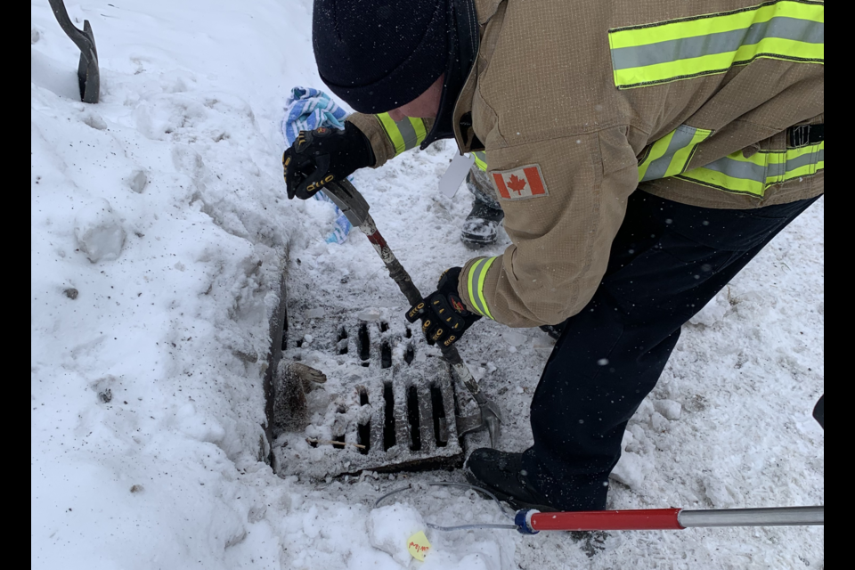 A raccoon was rescued after being stuck below a sewer grate on Jan. 16