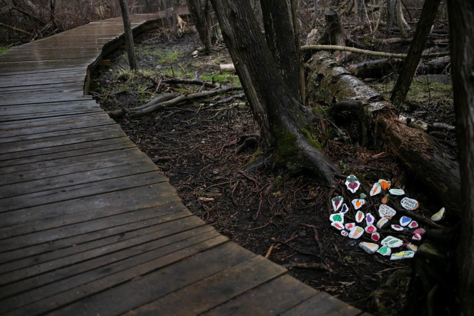 Decorated rocks along the trail in Guelph's Preservation Park. Kenneth Armstrong/GuelphToday