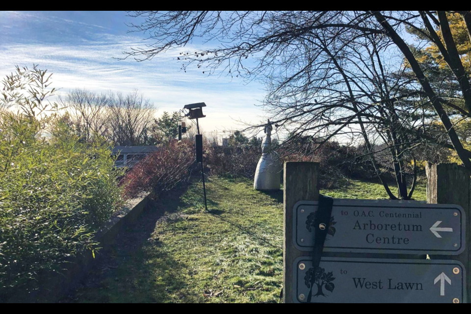 One of two bird feeders volunteers observe at the arboretum as part of Project Feederwatch.