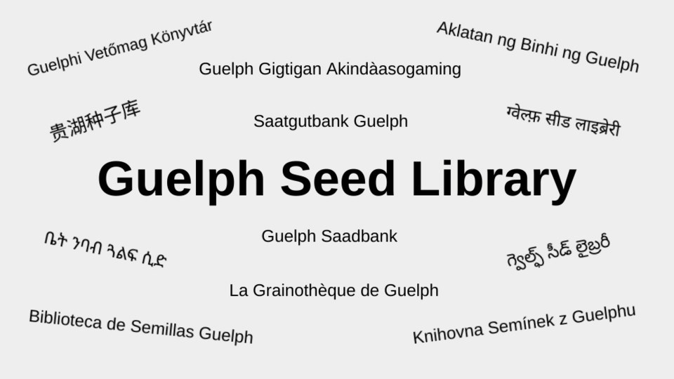 20220224 Guelph Seed Library translations AD