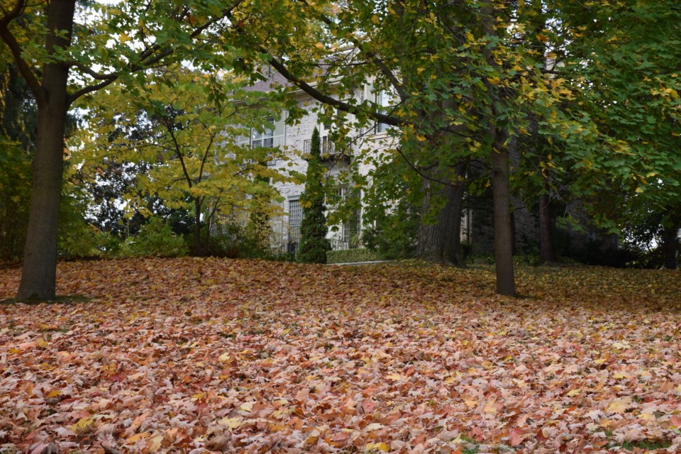Mansion through the leaves. Rob O'Flanagan/GuelphToday