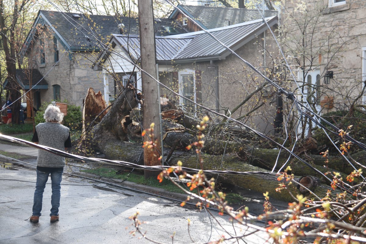 City continues clean up of fallen trees after storm
