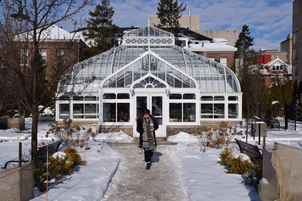 Small by comparison to other historic conservatories in North America, the one on the U of G campus is still an impressive structure. Rob O'Flanagan/GuelphToday