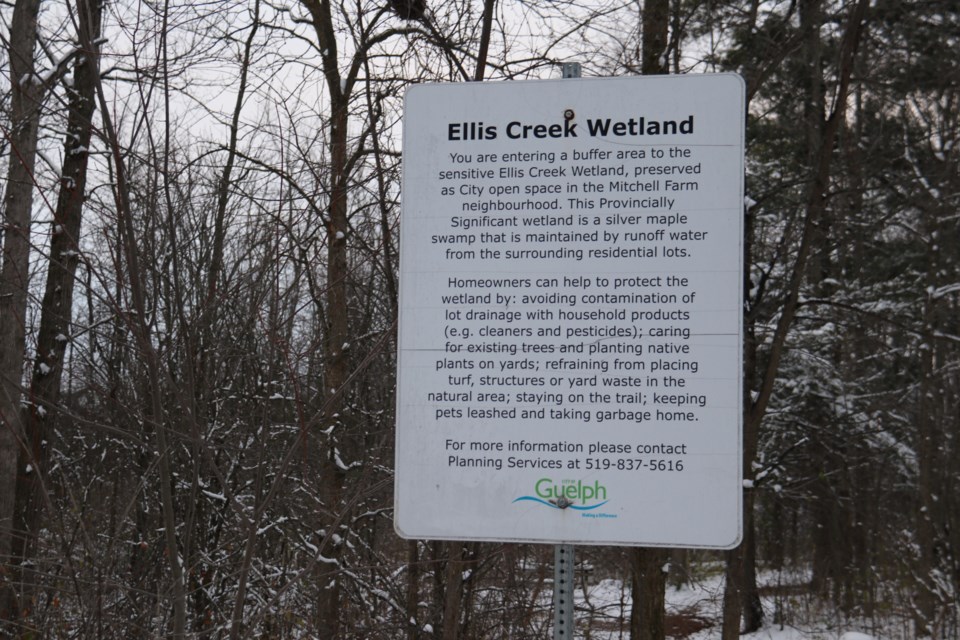 Adjacent to Ellis Creek Park, much of the Ellis Creek wetland area has been deemed provincially significant. 
