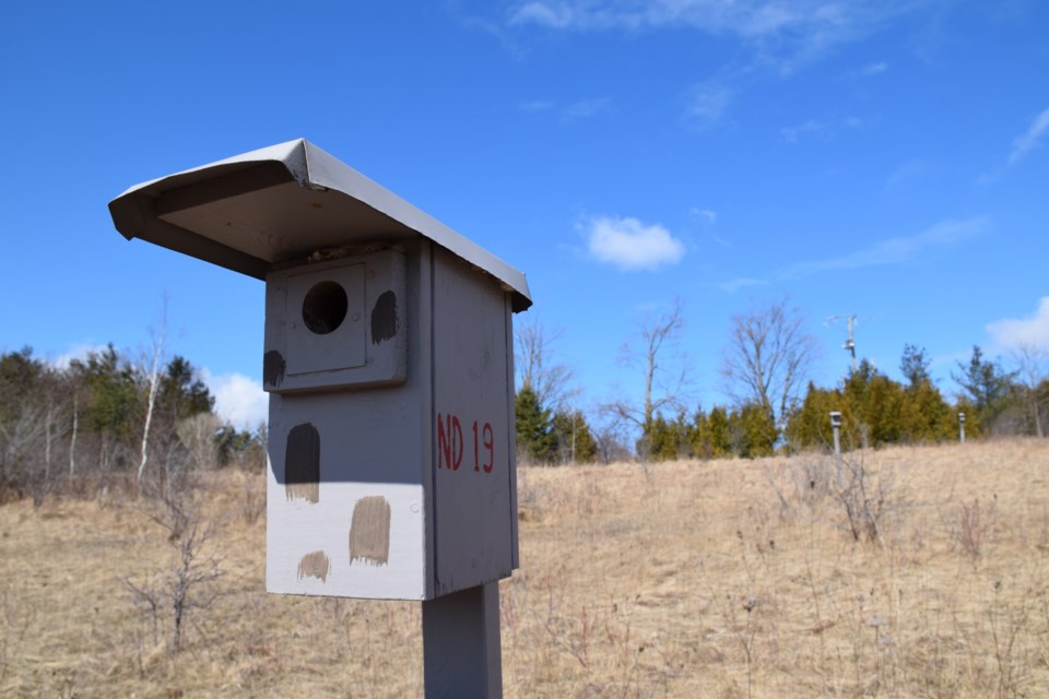 Joe Kral built over 500 of these accommodations for small birds, most around Guelph Lake. Rob O'Flanagan/GuelphToday