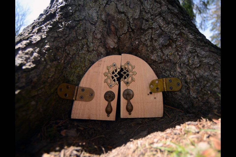 Fairy doors like these in Exhibition Parks have been popping up alongside trails all over Guelph lately. Tony Saxon/GuelphToday