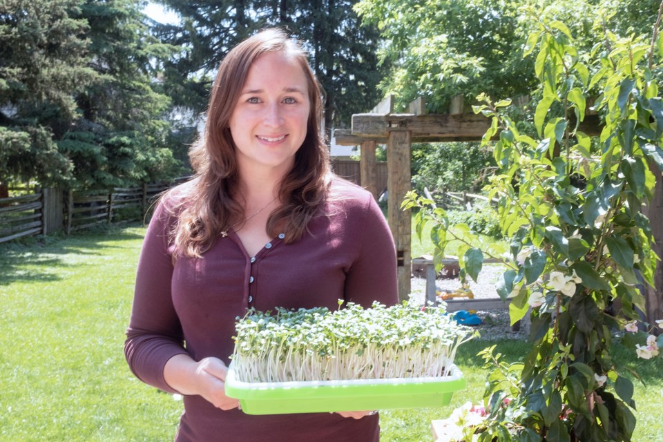 Jessie Sloot of Royal City Greens holds a tray of microgreens that are grown in the urban farm at her Arkell home. Kenneth Armstrong/GuelphToday