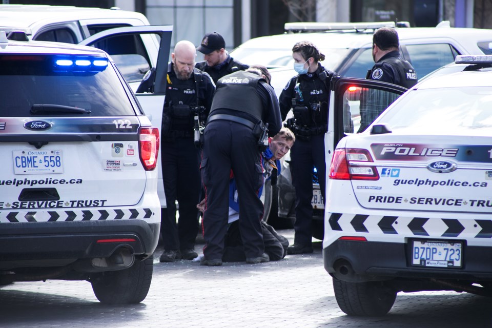 Guelph Police take a suspect into custody on Carden Street after three cruisers collided with a pickup truck that had been reported stolen Monday afternoon. Kenneth Armstrong/GuelphToday