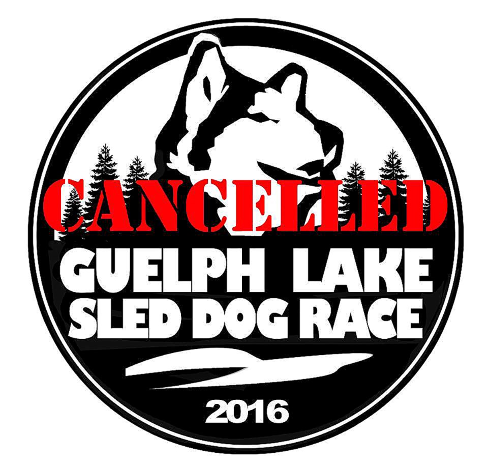 20160308 DOG SLED
