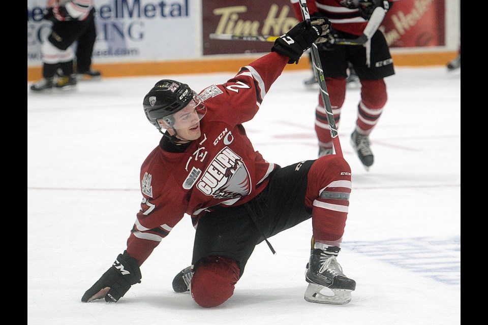 Garrett McFadden of the Guelph Storm celebrates his first period power play goal against the Owen Sound Attack Friday, Jan. 13, 2017, at the Sleeman Centre. Tony Saxon/GuelphToday