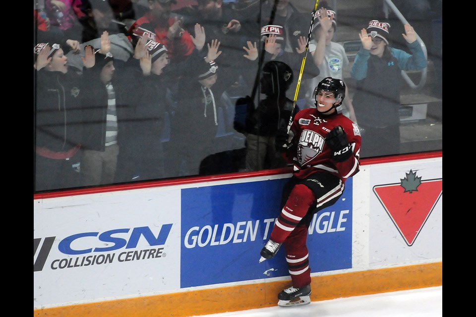 Cedric Ralph of the Guelph Storm celebrates his third period goal with some friends at the Sleeman Centre Friday, Feb. 17, 2017. Tony Saxon/GuelphToday