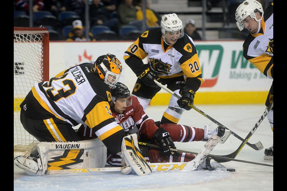 The Guelph Storm's Nic Sicoly reaches for the puck in front of Hamilton Bulldogs goaltender Kaden Fulcher Saturday, Oct. 8, 2016, in Hamilton. Tony Saxon/GuelphToday