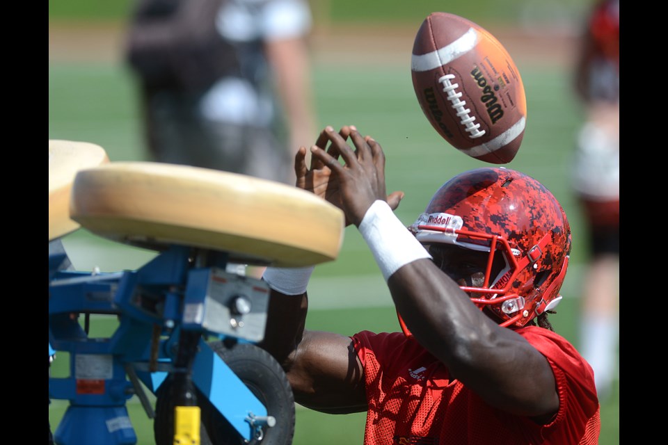 Guelph Gryphons running back Johnny Augustine gets up close and personal with the football passing machine at Alumni Stadium Friday, AUg. 26, 2016, as the team prepared for its season opener Sunday. Tony Saxon/GuelphToday